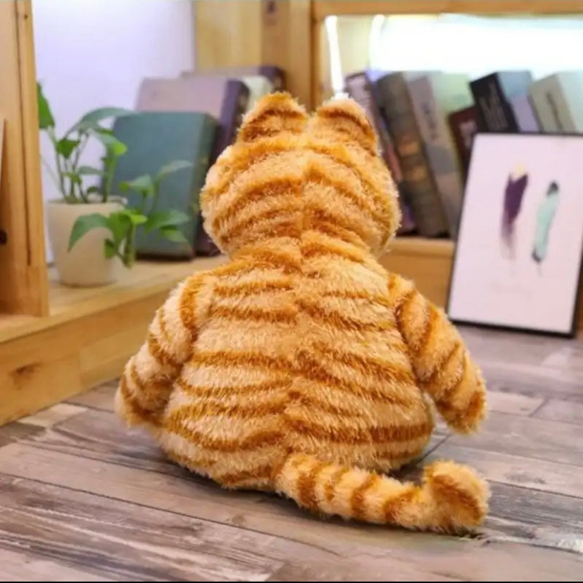 Grumpy Garfield