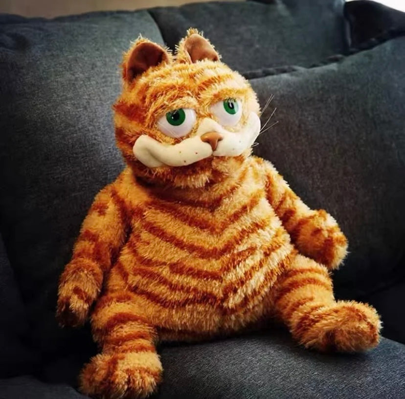 Grumpy Garfield