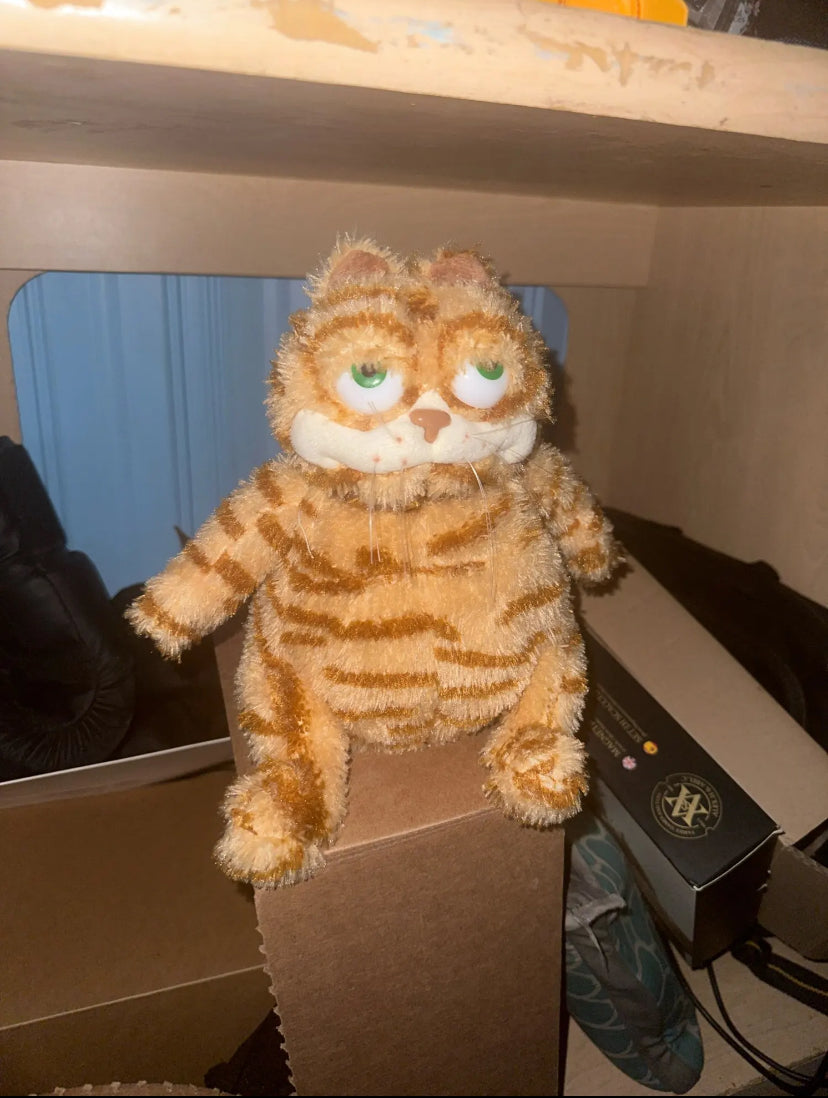 Grumpy Garfield